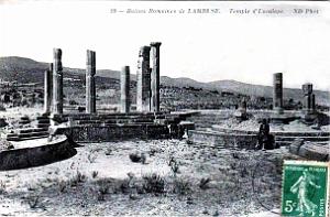 ALGERIE-RUINES ROMAINES DE LAMBESE (53)